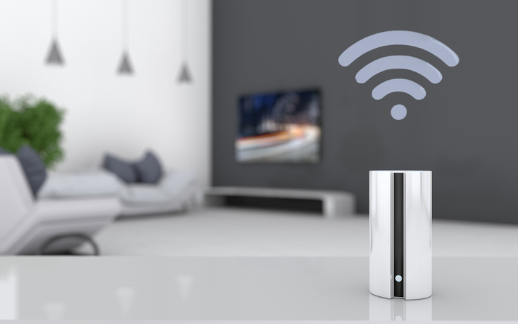 voice assistants with grocery delivery